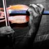Le violon